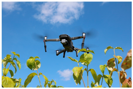 5 Ways Drones Are Transforming Agricultural Monitoring